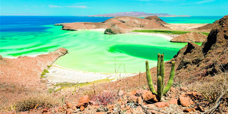 Top 5 Beaches in La Paz